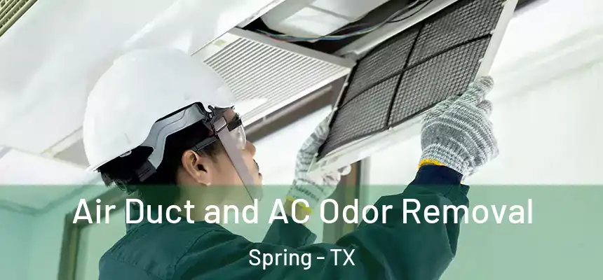  Air Duct and AC Odor Removal Spring - TX