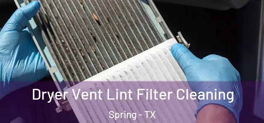  Dryer Vent Lint Filter Cleaning Spring - TX
