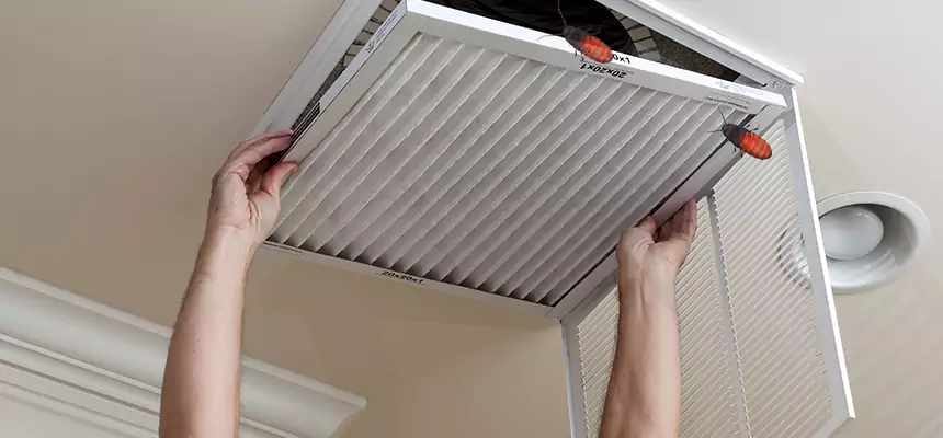 Preventive Cockroach-Proofing for Ducts in Spring