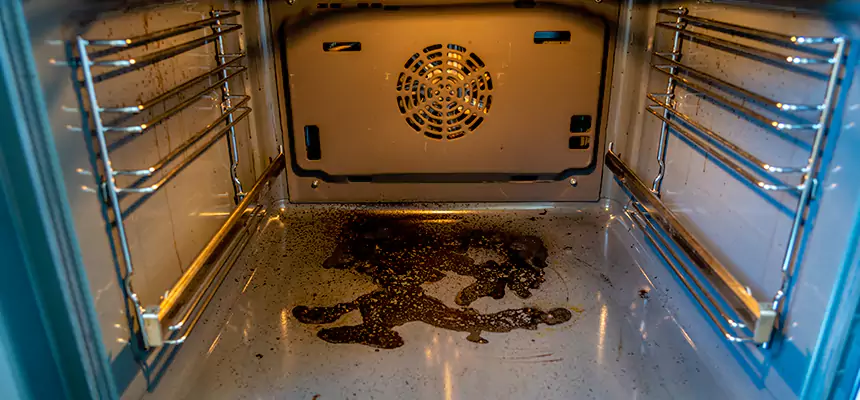 Our Dryer Vent Mold Cleaning Services in Spring, TX