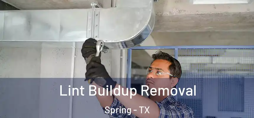  Lint Buildup Removal Spring - TX