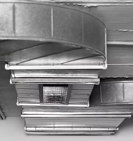 Professional Air Duct Pet Hair Removal in Spring, TX