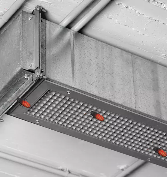 Affordable Insect Removal from Air Ducts in Spring, TX
