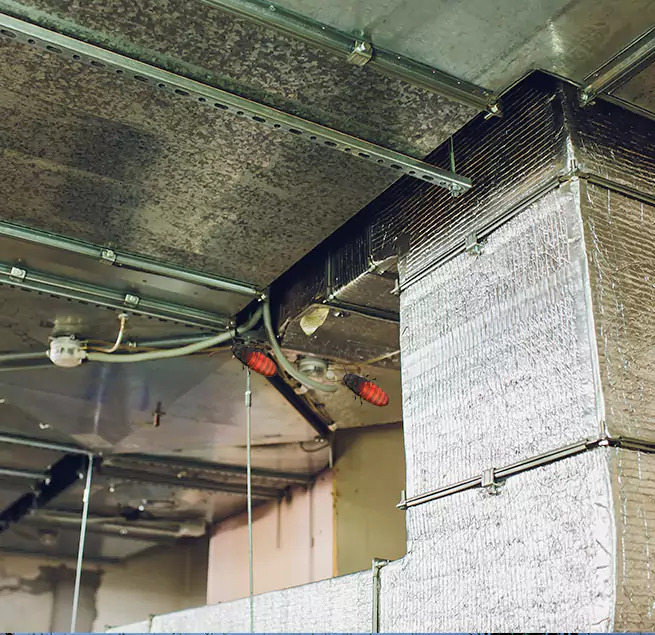 Why Homeowners & Businesses Trust Us in Spring, TX?