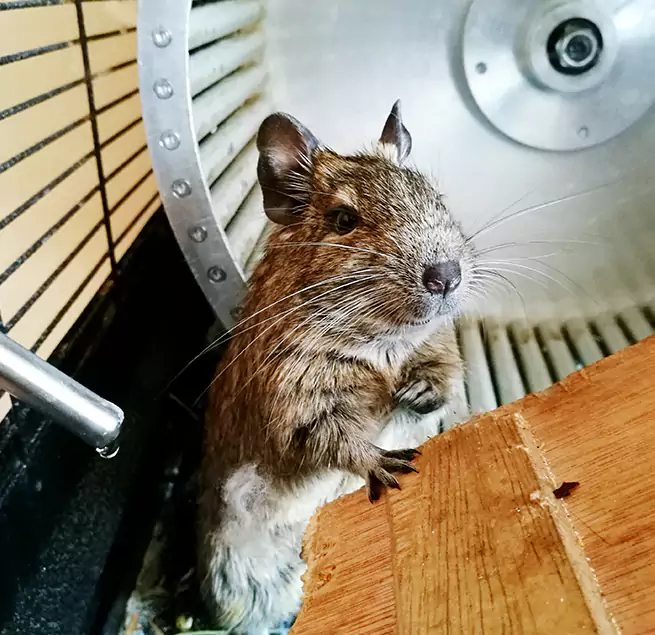 Why Homeowners & Businesses Trust Us Spring, TX