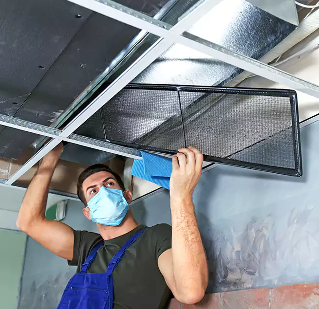 Why Homeowners Businesses Trust Us in Spring, TX