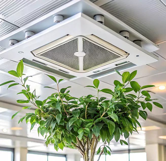 Why Homeowners & Businesses Trust Us in Spring, TX?