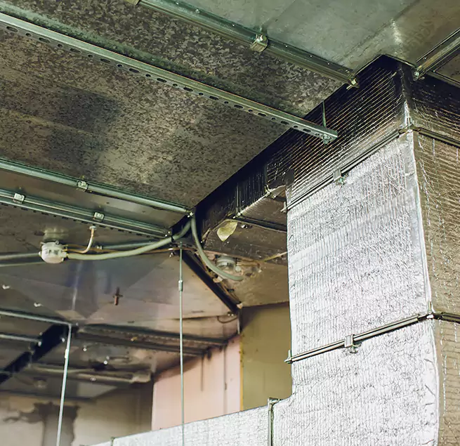 Why Homeowners & Businesses Trust Us in Spring, TX?